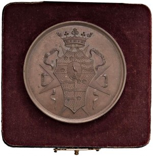 Character medals - Andrea Passari - Medal 1889 The council of...
