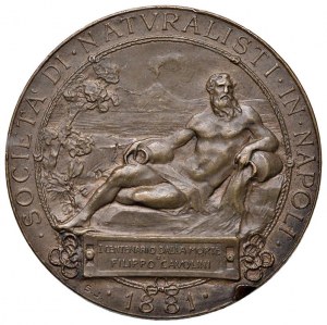 Cities medals - NAPLES Medal 1881 Society of Naturalists i...