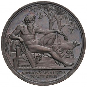 Cities medals - ROME Pontifical Tiber Academy since 1813 M...
