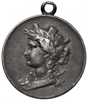 Cities medals - TORINO Exposition 1898 - AG (g 4.67 - Ø 21 m...