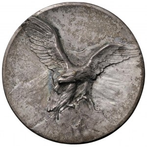 Various medals - PRO ROCCA DI PAPA Commemorative medal arts...