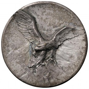 Various medals - PRO ROCCA DI PAPA Commemorative medal arts...