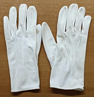 Masonic decorations and objects - MASSONERY. white masonic ceremonial gloves...