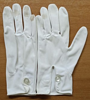 Masonic decorations and objects - MASSONERY. white masonic ceremonial gloves...