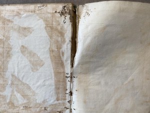 Antique numismatic books - V. Bellini, De monetis Italiae medii aevi hac...