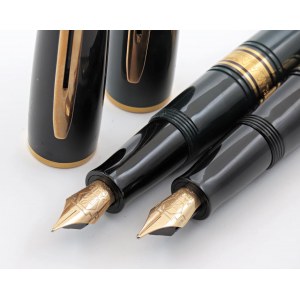Pens - WATERMAN -Lotto di 2 Penne Stilografiche- Cor...