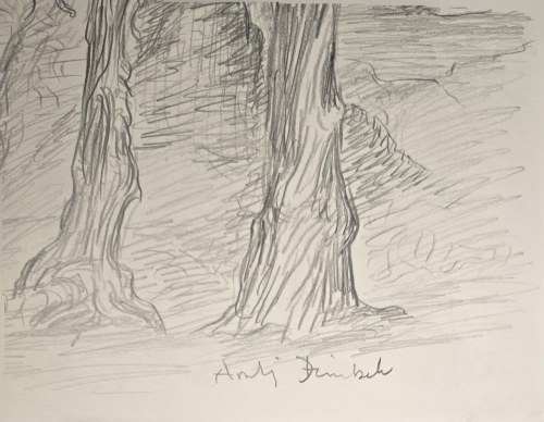 Andrzej Dziubek, pseud. Nebb (ur. 1954), Bez tytułu