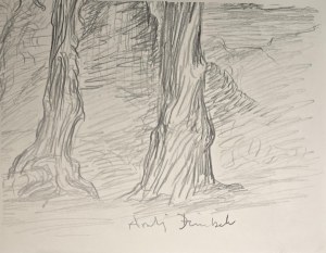 Andrzej Dziubek, pseud. Nebb (ur. 1954), Bez tytułu