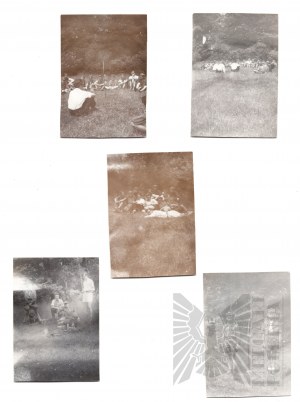 People's Republic of Poland (?) - Photos 