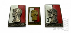 People's Republic of Poland - Three Warsaw Mint Badges, Model Soldier