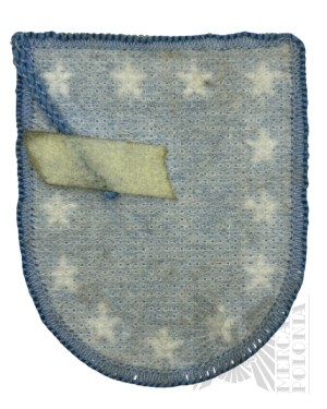 USA Beret Patch 