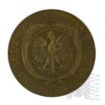 II RP - Brązowy Medal za Długoletnią Służbę [Oryginał]
