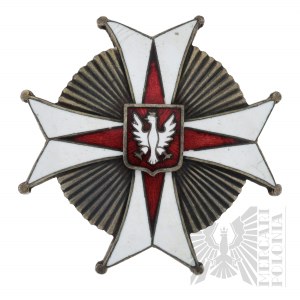 II RP - Odznaka 22-go Pułku Ułanów Podkarpackich, KOPIA