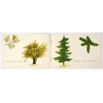 JANUSZEWSKA H. - Wiórki. Ilustr. H. Gutsche. 1953