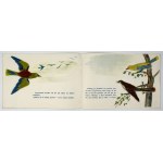 JAWORCZAKOWA M. – Niebieskie piórko. 1953. Ilustr. Jerzy Heintze