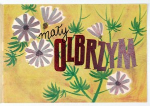 SLOMCZYŃSKI M. - Little giant. Illustrated by Tadeusz Jodłowski.