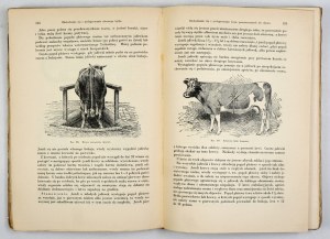 STEUERT L[udwig] - The domestic animal in health and disease [1930].
