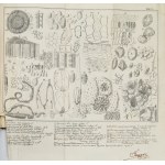 ŠICHOVSKIJ I. I. – Kratkaja botanika. Kurs gimnnazičeskij...1860