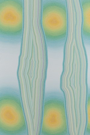 Maja Przybylska (b. 1995), 