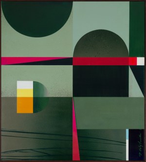 Piotr Wojtecki (b. 1984, Aleksandrów Kujawski), 