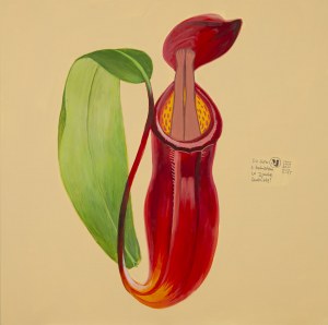 Jagoda Charkiewicz (b. 1982), 