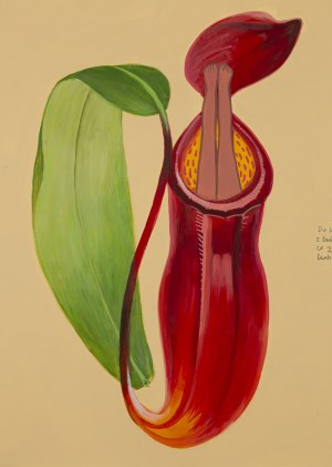 Jagoda Charkiewicz (b. 1982), 