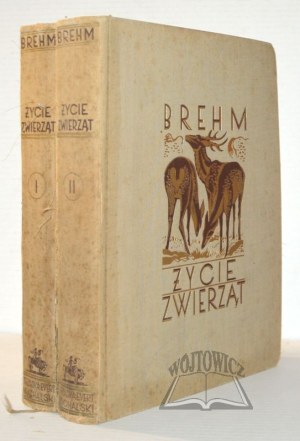 BREHM (Alfred), Animal Life.