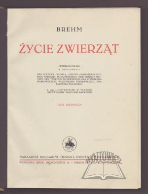 BREHM (Alfred), Animal Life.