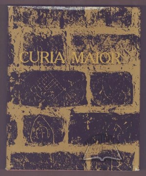 CURIA maior. Studies in the history of culture offered to Andrew Ciechanowiecki.