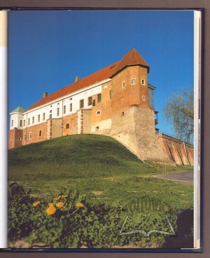 CZAPLIŃSKI Konrad Kazimierz, Castles in Poland. Castles in Poland. Schlösser in Polen.