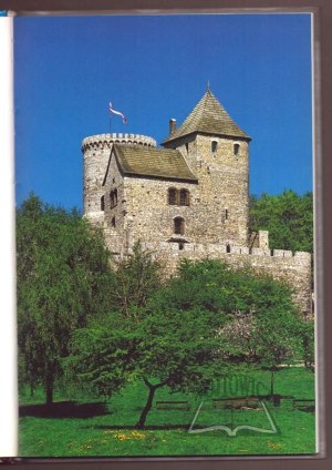 Upper Silesian castles and palaces. Silesian province.