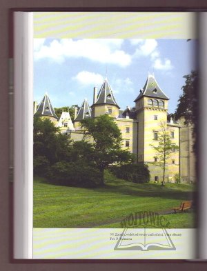 KĄSINOWSKA Róża, Gołuchów. A magnate's residence in the light of sources.