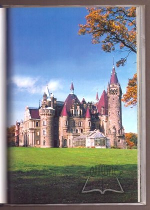 Silesian castles and palaces. Opole region.