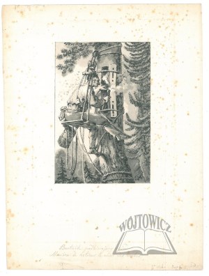 NORBLIN John Peter; DEBUCOURT Philibert-Louis, (Bartender picking up honey; Maniere de retirer le miel des ruches).