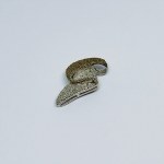 Srebrny wisiorek z Diamentami około 0.09 Ct