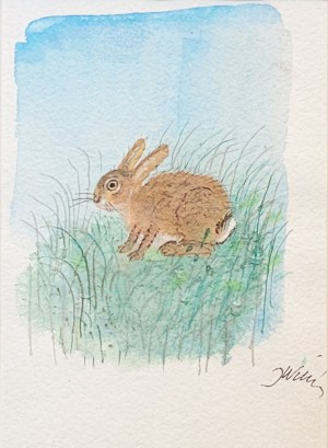 Jozef Wilkoń (b. 1930), Hare hidden in the grass