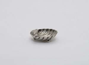 Shell-shaped salt shaker