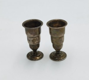 A pair of vodka glasses