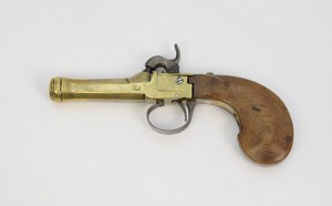 Pistol with a cap lock