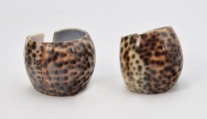 A pair of shell napkin holders
