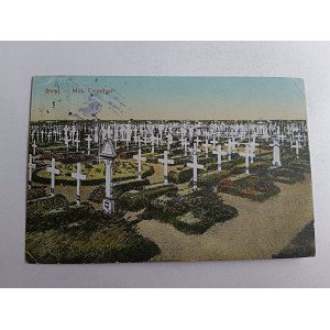 POCZTÓWKA STRYJ CMENTARZ 1918 R