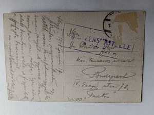 POSTCARD STRYJ CEMETERY 1918