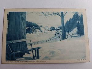 POSTCARD KRYNICA VIEW OF MINERAL AND MUD BATHS, FTO B. A. S. STAMP