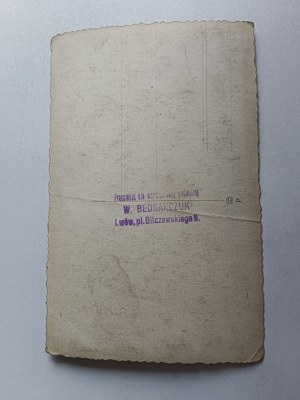 PHOTO OF LIONS, BEDNARCZUK STAMP, FIGURE