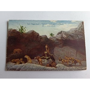 POCZTÓWKA HAMBURG STELLINGEN CARL HAGENBECK'S TIERPARK, ZOO, LEW, LWY, STEMPEL NOWY SĄCZ 1928 R