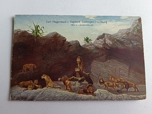 POSTCARD HAMBURG STELLINGEN CARL HAGENBECK'S TIERPARK, ZOO, LION, LIONS, STAMP NEW SACZ 1928