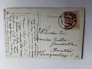 POSTCARD HAMBURG STELLINGEN CARL HAGENBECK'S TIERPARK, ZOO, LION, LIONS, STAMP NEW SACZ 1928