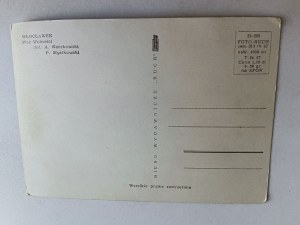 POSTCARD PRL WLOCLAWEK PLAC WOLNOŚCI