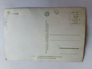 POSTCARD PRL LYNX, FOT PUCHALSKI, MŁY CIRCULATION