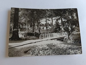 POSTCARD PRL CZERNIAWA ZDRÓJ FRAGMENT OF A PARK